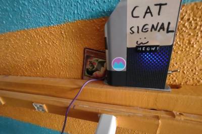 cat-signal hardware with blue light
