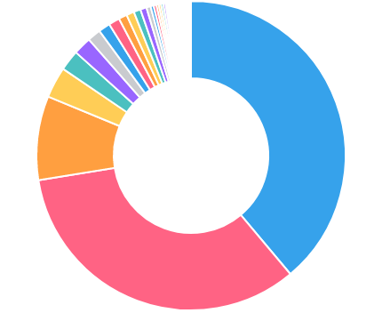 a pie chart with two slices taking up about 2 thirds of the pie, and the remaining third taken up mostly by the next 8 slices